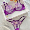 Mesh Underwire Lingerie Set - Image 3