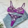 Mesh Underwire Lingerie Set - Image 2
